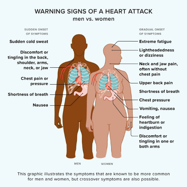 Early Signs of Heart Disease in Indian Adults